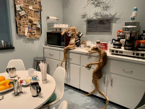 Universal Orlando, Man in Black